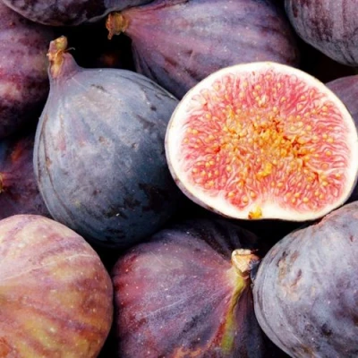 Инжир МУАССОН в Воронеже