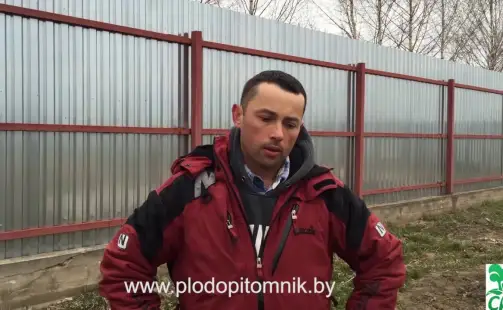 Превью видео