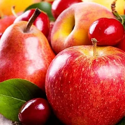 Плодовые деревья  Плодовые деревья в Воронеже